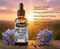 Blondes Provision Organic Black Seed Oil - Cold Pressed Nigella Sativa for Immune Support, Skin Health & Hair Growth
